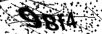 Captcha text