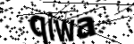 Captcha text
